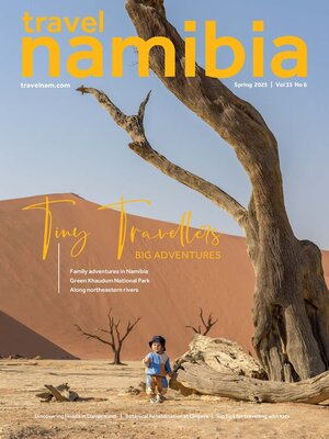 cover image of Travel Namibia